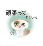 色々な猫1-4 長毛-垂れ耳-白に茶ぶち（個別スタンプ：16）