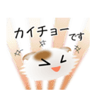 色々な猫1-4 長毛-垂れ耳-白に茶ぶち（個別スタンプ：17）