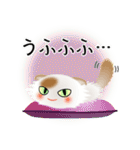 色々な猫1-4 長毛-垂れ耳-白に茶ぶち（個別スタンプ：25）
