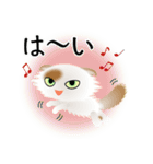 色々な猫1-4 長毛-垂れ耳-白に茶ぶち（個別スタンプ：29）