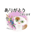色々な猫1-4 長毛-垂れ耳-白に茶ぶち（個別スタンプ：31）