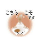 色々な猫1-4 長毛-垂れ耳-白に茶ぶち（個別スタンプ：32）