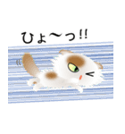 色々な猫1-4 長毛-垂れ耳-白に茶ぶち（個別スタンプ：34）