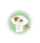 色々な猫1-4 長毛-垂れ耳-白に茶ぶち（個別スタンプ：37）