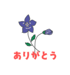 かわいい野花（個別スタンプ：5）