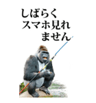 釣り☆ゴリラ【BIG】（個別スタンプ：15）