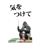 釣り☆ゴリラ【BIG】（個別スタンプ：28）