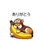 おサルな太っちょ柴犬（個別スタンプ：5）