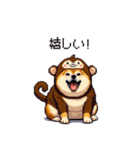 おサルな太っちょ柴犬（個別スタンプ：23）