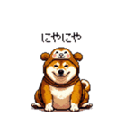 おサルな太っちょ柴犬（個別スタンプ：32）