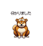 おサルな太っちょ柴犬（個別スタンプ：33）