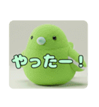 かわいいもふもふ鳥ちゃん（個別スタンプ：2）