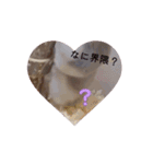 ハムのアニメーションスタンプ（個別スタンプ：15）