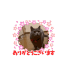ジルキキの日常（個別スタンプ：1）