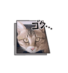ジルキキの日常（個別スタンプ：4）