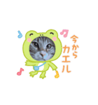 ジルキキの日常（個別スタンプ：5）
