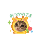 ジルキキの日常（個別スタンプ：7）