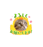ジルキキの日常（個別スタンプ：8）