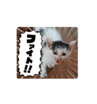 べる君のアニメーションスタンプ（個別スタンプ：7）