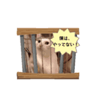 べる君のアニメーションスタンプ（個別スタンプ：10）