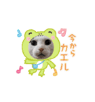 べる君のアニメーションスタンプ（個別スタンプ：14）