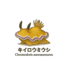 動くウミウシスタンプ（個別スタンプ：5）