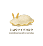 動くウミウシスタンプ（個別スタンプ：13）