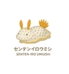 動くウミウシスタンプ（個別スタンプ：15）