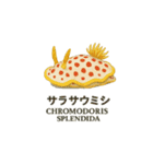 動くウミウシ君（個別スタンプ：6）
