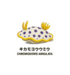 動くウミウシ君（個別スタンプ：10）