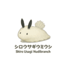 動くウミウシ君（個別スタンプ：14）