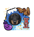 mameta（まめ太）（個別スタンプ：8）