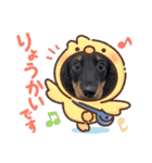 mameta（まめ太）（個別スタンプ：10）