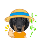 mameta（まめ太）（個別スタンプ：14）