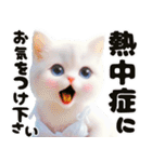❤️水着の白い子猫の海から夏のご挨拶❤️（個別スタンプ：11）