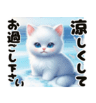 ❤️水着の白い子猫の海から夏のご挨拶❤️（個別スタンプ：13）