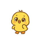 ひよこ元気いっぱいパレード（個別スタンプ：13）