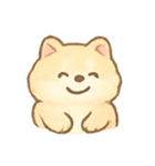 ふわふわ柴犬の気分パレード（個別スタンプ：1）