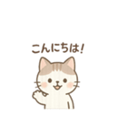 ニャーの朝晩（個別スタンプ：1）