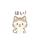 ニャーの朝晩（個別スタンプ：6）