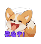 愛らしいコーギーの日常（個別スタンプ：13）