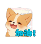 愛らしいコーギーの日常（個別スタンプ：20）