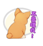 愛らしいコーギーの日常（個別スタンプ：32）