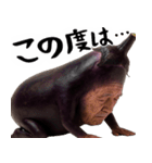 ナスミマセン(謝罪時に便利な茄子の土下座)（個別スタンプ：4）
