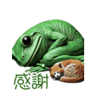 3Dリアルな変なカエル！ゲロゲロ～（個別スタンプ：28）