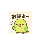 ぐうたらインコの日常会話（個別スタンプ：1）