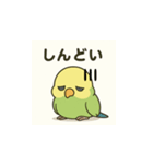 ぐうたらインコの日常会話（個別スタンプ：5）