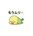 ぐうたらインコの日常会話（個別スタンプ：8）