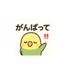 ぐうたらインコの日常会話（個別スタンプ：10）