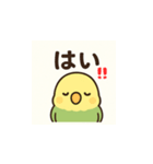 ぐうたらインコの日常会話（個別スタンプ：21）